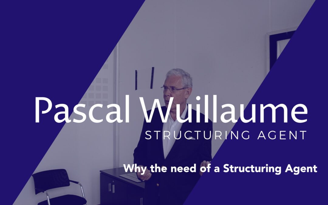 Why the need of a Structuring Agent
